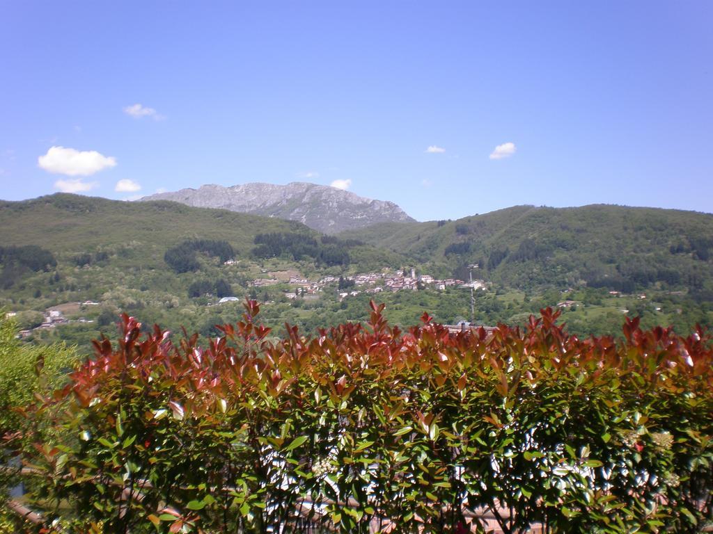 B&B Da Franca Camporgiano Bagian luar foto
